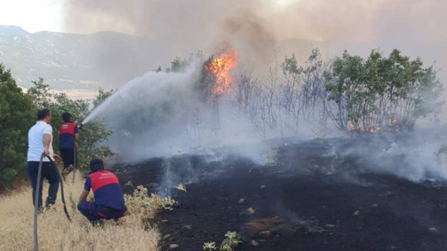 Bingöl'de çıkan orman yangınları söndürüldü